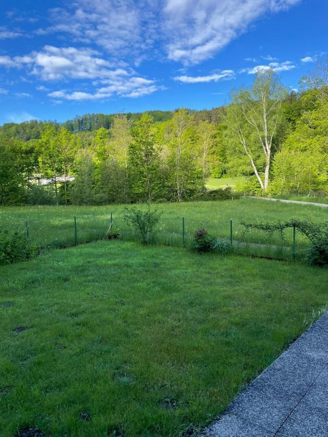 Haus Im Gruenen - Gmundennaehe Pinsdorf Esterno foto