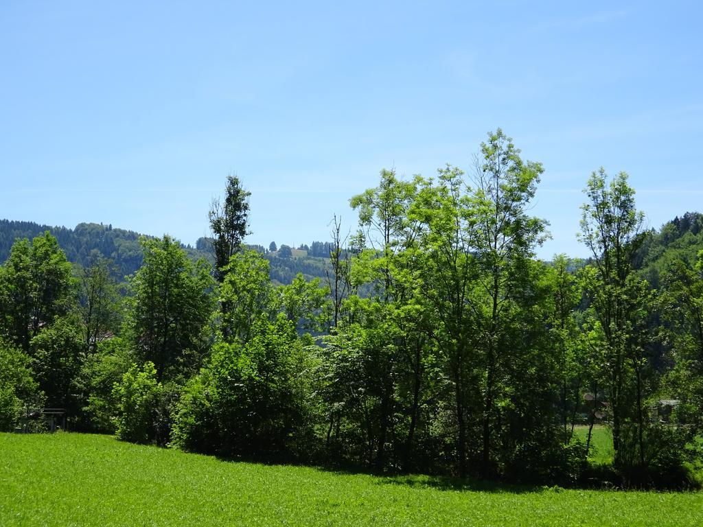 Haus Im Gruenen - Gmundennaehe Pinsdorf Esterno foto
